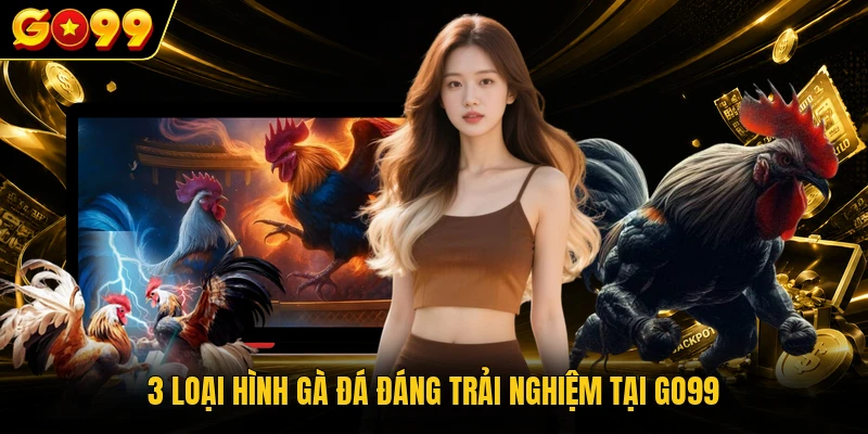 3 loại hình gà đá đáng trải nghiệm tại GO99