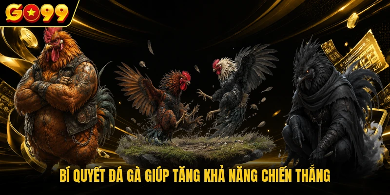 Bí quyết đá gà giúp tăng khả năng chiến thắng